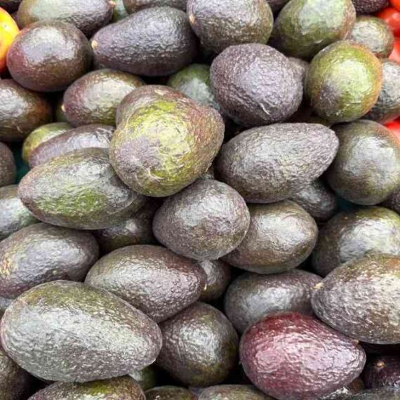 Palta Hass - Imagen 2