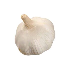 Ajo
