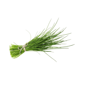 Ciboulette