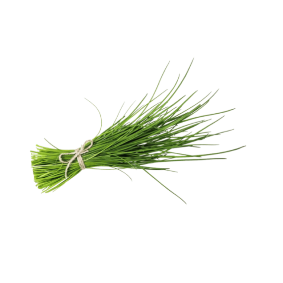 Ciboulette