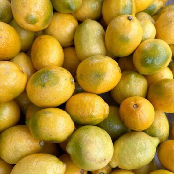 Limón - Imagen 2